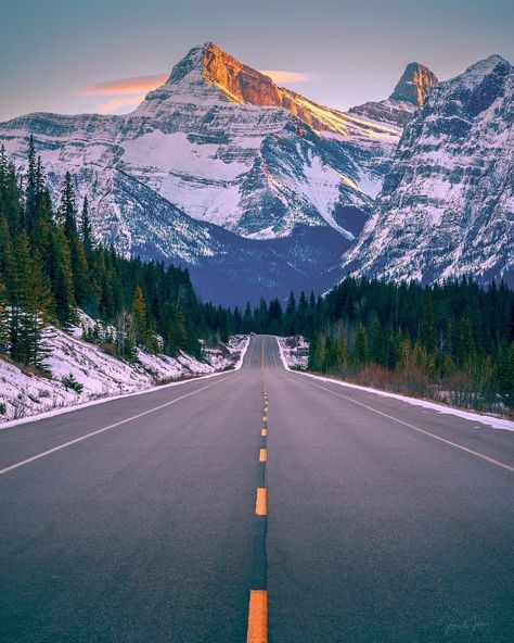 Jasper, Canada on Instagram: “The weekend is just around the corner!⛰️ Get your ticket to adventure. National Park Passes are now available on jasper.travel. Link in…” Jasper National Park Winter, Canada Wallpaper, Canada Dream, Jasper National Park Canada, Jasper Canada, Jasper Park, Tree Mountain, Jasper National Park, Sky Tree