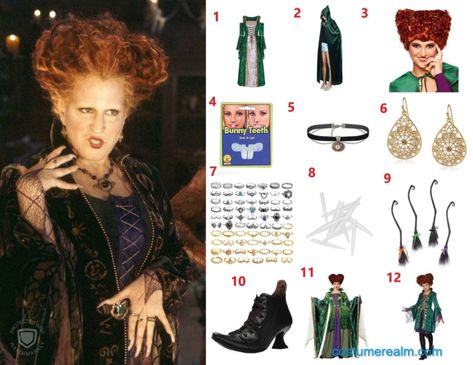 Hocus Pocus Makeup Winifred, Diy Winifred Sanderson Costume, Winifred Sanderson Hair Diy, Winifred Sanderson Costume Diy, Winifred Sanderson Makeup, Hocus Pocus Costume Diy, Sisters Costumes, Green Medieval Dress, Bouffant Wig