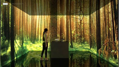 Virtual Reality Spaces | BRDG Studios Virtual Reality Architecture, Vr Room, Virtual Reality Education, Virtual Reality Design, Augmented Virtual Reality, Hotel Concept, Nature Museum, Projection Mapping, Interactive Art