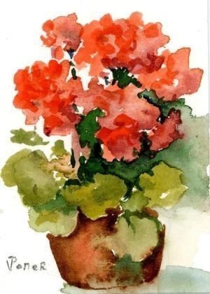 Brazilian Artist, Watercolor Paintings For Beginners, Watercolor Pictures, Watercolour Inspiration, Watercolor Paintings Easy, Watercolor Painting Techniques, Watercolor Flower Art, 수채화 그림, Watercolor Flowers Paintings