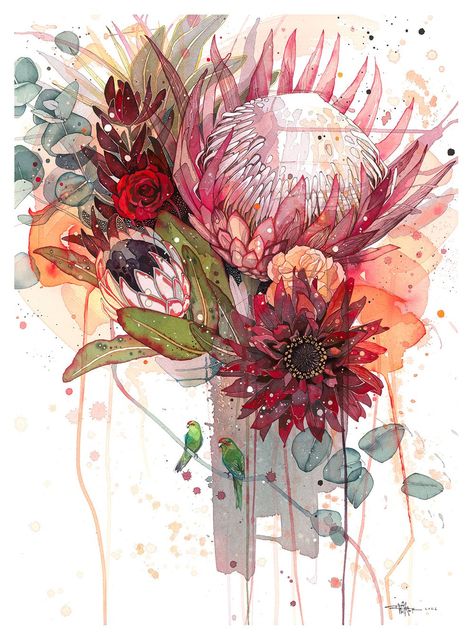 Watercolour Calligraphy, Rachel Walker, Big Bouquet, Protea Art, Protea Flower, Calligraphy Ink, Silver Dollar, Watercolor And Ink, Spray Paint