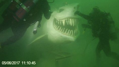 Underwater Shark Statue At Lake Neuchâtel Artificial Reef, Big Shark, Deep Sea Diver, Marianas Trench, Heraklion, Shark Week, Deep Sea, Bored Panda, Funny Pictures