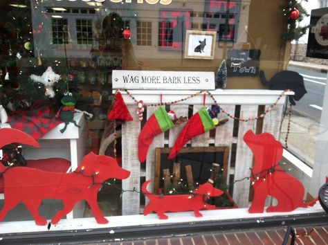 Pet Store Window Dog Window Display, Pet Store Window Display, Pet Shop Window Display, Pet Store Display, Window Display Ideas, Pet Store Design, Pet Store Ideas, Dog Window, Store Window Display