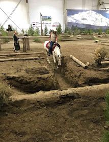 Extreme Trail Horse Obstacles, Obstacle Course Training, Trail Riding Horses, Model Horse Tack, Trail Horse, Horse Farm Ideas, Paddock Paradise, Horse Jumps, Cattle Drive