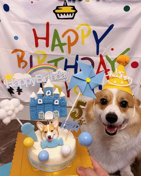 Happy Birthday Corgi, Dog Birthday Pictures, Corgi Birthday, Corgi Gif, Birthday Corgi, Today Is My Birthday, Dog Birthday Party, Corgi Puppy, Happy Birth