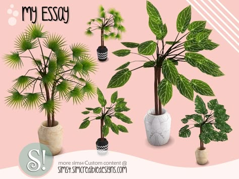 by SIMcredibledesigns.com Found in TSR Category 'Sims 4 Plants' The Sims Resource Sims 4 Objects, Plants Sims 4, The Sims Resource Objects, Sims Furniture, Monstera Plants, Sims 4 Tsr, Die Sims 4, Sims 4 Traits, Sims 4 Cc Kids Clothing