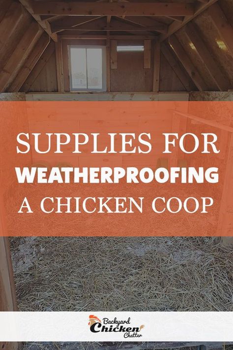 Owning Chickens, Inside Chicken Coop, Duck Coop, Chicken Poop, Raising Ducks, Chicken Pen, Best Chicken Coop, Manor Farm, Small Chicken