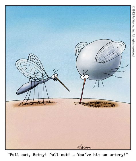 Ballooning mosquito Mosquito Meme, Pest Control Humor, Best Calvin And Hobbes, Funny Mosquito, Funny Cute Quotes, The Far Side Comics, Far Side Cartoons, Calvin And Hobbes Comics, Far Side Comics