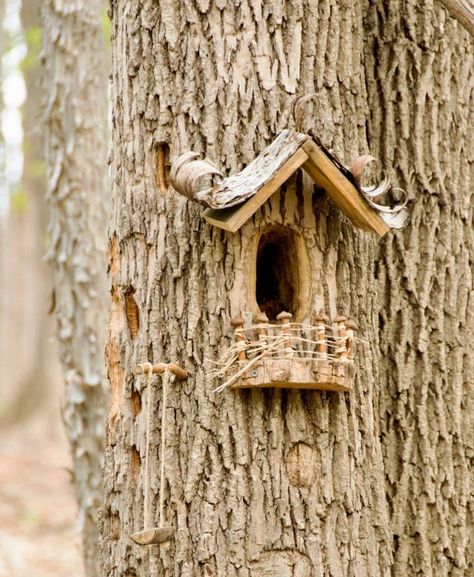 12 Ideas to Steal from Fairy Gardens - Gardenista Fairy Garden Cottage, Fairy Doors On Trees, Fairy Garden Doors, Fairy Tree Houses, Fairy Garden Furniture, Hollow Tree, Fairy Homes, Fairy House Diy, Fairy Home