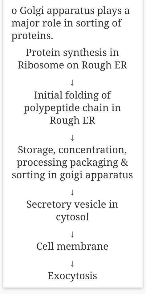 Golgi apparatus function for protein Golgi Apparatus, Biology Notes, Protein Synthesis, Cell Membrane, Medical Students, Biology, Initials, Medical