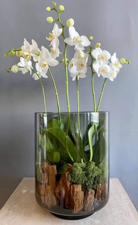 Orchid Flower Arrangements, Craft Storage Furniture, Bench Diy, Orchid Arrangements, Diy Craft Room, Diy Storage Cabinets, Diy Garden Furniture, Flower Arrangements Diy, Wood Furniture Diy