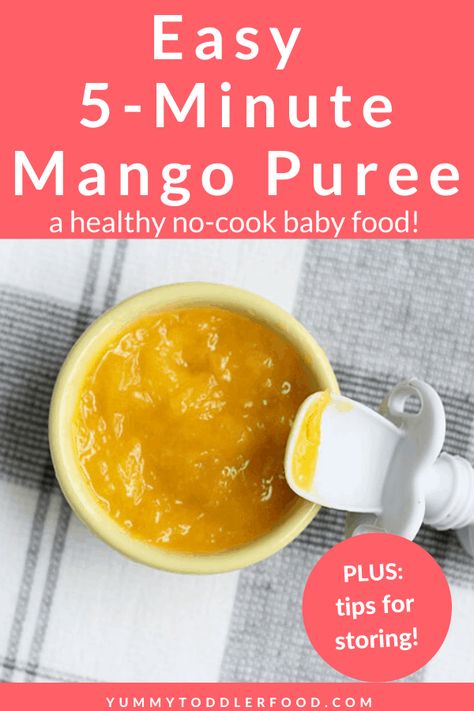 Mango Puree Recipe, Baby Mango, Homemade Baby Food Storage, Baby Food Recipes Stage 1, Frozen Mango, Baby Food Pouch Recipes, Baby Food Storage, Baby Puree, Baby Puree Recipes