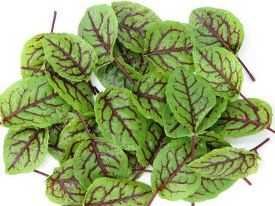 I have sorrel growing but I'm scared to try it.  Hoping I will find some inspiration online. Sorrel Juice Recipe, Sorrel Recipes, Sorrel Juice, Yellow Wood Sorrel, Red Sorrel, Sorrel Recipe, Sorrel Soup, Micro Herbs, Red Veins