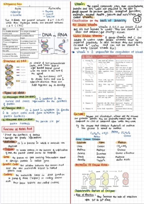 Biomolecules Notes Chemistry Class 12, Biomolecules Notes, Bio Molecules, Chemistry Flashcards, Zoology Notes, Notes Chemistry, Class 12 Notes, Chem Notes, Chemistry Class 12