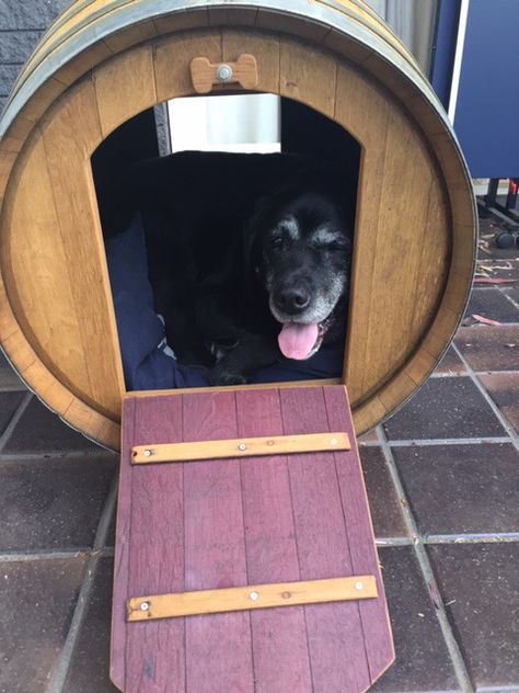 Barrel Dog House, Dog Furniture, Whiskey Barrel, Outdoor Kitchen Design, Wine Barrel, Dog Kennel, Dog House, Furniture Inspiration, Barrel