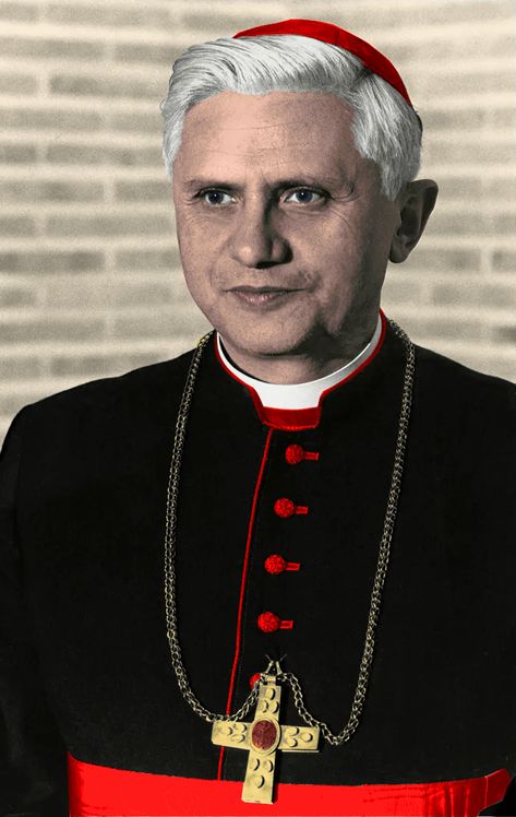 Bento Xvi, Benedict Xvi, Istoria Artei, Pope Benedict Xvi, Pope Benedict, Extraordinary People, Photo 1, Animal Gifs, Funny Animal Videos