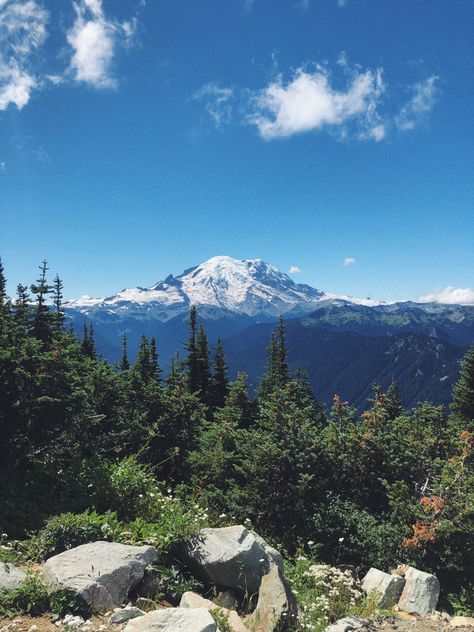 Pacific Northwest Mountains, Washington Hikes Pacific Northwest, Pnw Summer Aesthetic, Seattle Mountains, Hiking Seattle, Washington State Summer, Washington State Aesthetic, Seattle Nature, Seattle Hikes