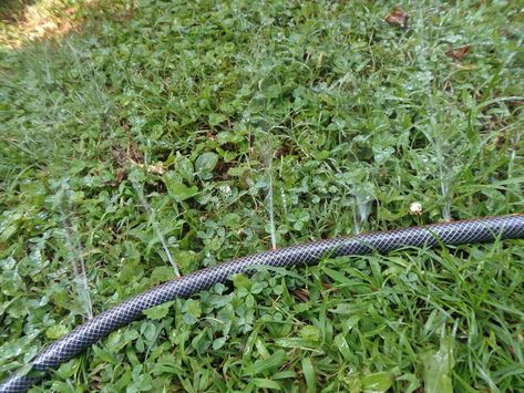 Diy Soaker Hose How To Make, Diy Soaker Hose, Soaker Hose Irrigation, Garden Hose Wreath, Hank Hill, Sprinkler Hose, Garden Watering System, Yard Plants, Low Water Gardening