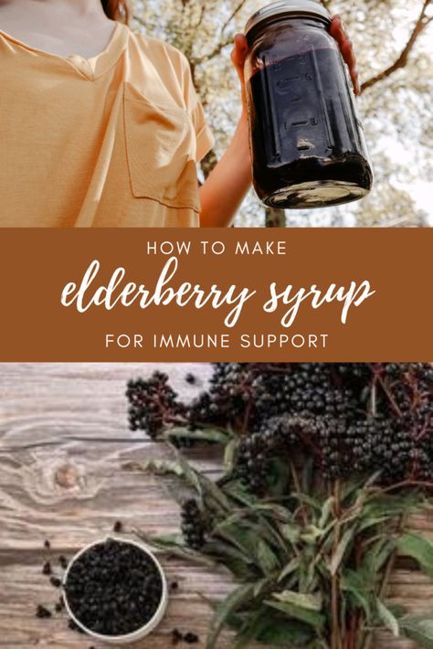 Homemade Elderberry, Tomato Nutrition, Coconut Health Benefits, Cold Symptoms, Elderberry Syrup, Benefits Of Coconut Oil, Food Additives, Healing Herbs, Matcha Green Tea