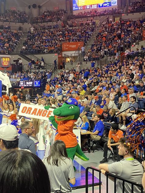 basketball games at the univeristy of florida in the o'connell center also called the O dome in gainesville florida at UF, image shows alber the gator the mascot and fans Florida College Aesthetic, University Of Florida Aesthetic, Uf Aesthetic, Florida Football, Dream Collage, Colleges In Florida, College Motivation, Gainesville Florida, College Aesthetic