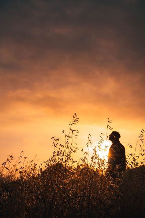 Sunset Silhouette Boyz Dp, Love Couple Images Hd, Red Sky At Morning, Village Photos, Sunset Images, Sunset Silhouette, Creative Profile Picture, We Are The World, Rural Landscape