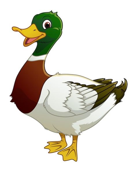 Goose Drawing, Cartoon Reference, Free Cartoon Characters, Cute Dog Cartoon, Duck Illustration, Animal Vector, Wild Duck, Duck Cartoon, Free Cartoons