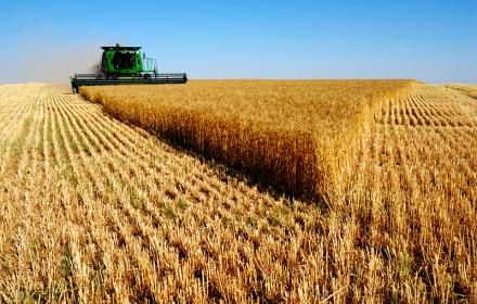 Combine Harvester, Fields Of Gold, Wheat Field, Wheat Fields, المملكة العربية السعودية, Down On The Farm, Country Farm, Farm Equipment, Country Life