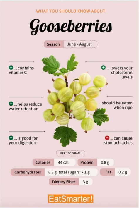 Gooseberry Benefits, Goose Berry, Herbal Living, Healthy Plan, Blood Sugar Diet, C Vitamin, Medical Terminology, Healthy Diet Tips, Super Foods