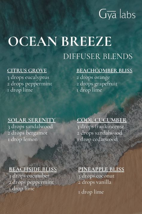 Immerse your senses in the refreshing essence of the Ocean Breeze Diffuser Blend, bringing the serene spirit of the sea to your space.  #GyaLabs #UpliftYourEveryday #essentialoils #spring #summerseason #amazing #soulwisdom #Junevibes #summer  #summervibes #abundance #abundancemindset #miracles #blessings #inspiration #NaturalCare #HealthyLiving #EssentialOils #woman Ocean Scent Essential Oil Blend, Sea Breeze Essential Oil Blend, Ocean Diffuser Blends, Ocean Breeze Essential Oil Blend, Beach Essential Oil Blends, Ocean Essential Oil Blend, Beach Diffuser Blends, Candle Reference, Spiritual Essentials