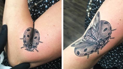 Elbow Insect Tattoo, Bug Elbow Tattoo, Elbow Bug Tattoo, Folding Arm Tattoo, Arm Fold Tattoo, Folding Elbow Tattoo, Moving On Tattoos, Ladybug Tattoo, Beetle Tattoo