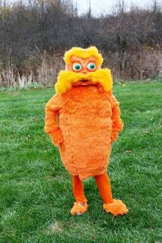 Memes Costumes Ideas, Lorax Costume, Meme Diy Halloween Costumes, The Lorax Movie Memes, Meme Costumes Diy, Cat In Fruit Costume Meme, Fur Costume, Weird Images, Crazy Funny Pictures