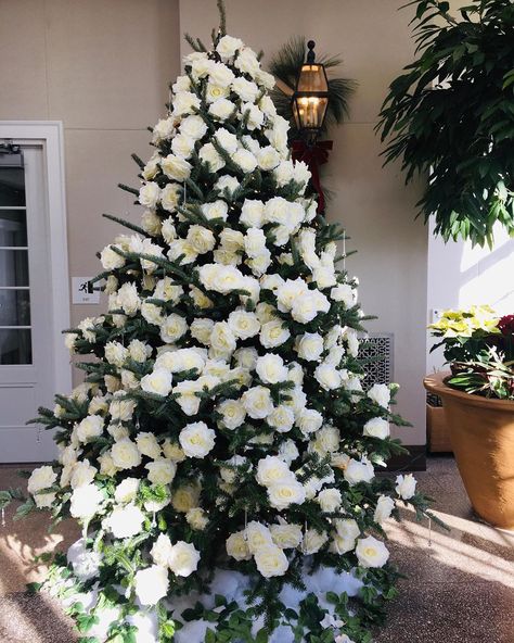 DVFlora on Instagram: “Now here’s a lovely twist on how to flock a Christmas tree.  Why not use 300 stems of cream open-cut silk roses (S18540)! This design by…” Christmas Tree With White Flowers, White Flower Christmas Tree, Christmas Tree With Roses Decoration, Red Roses On Christmas Tree, Christmas Tree With Red Roses, Red Rose Christmas Tree, Christmas Tree With Roses, Christmas Tree White Background, Vs Christmas