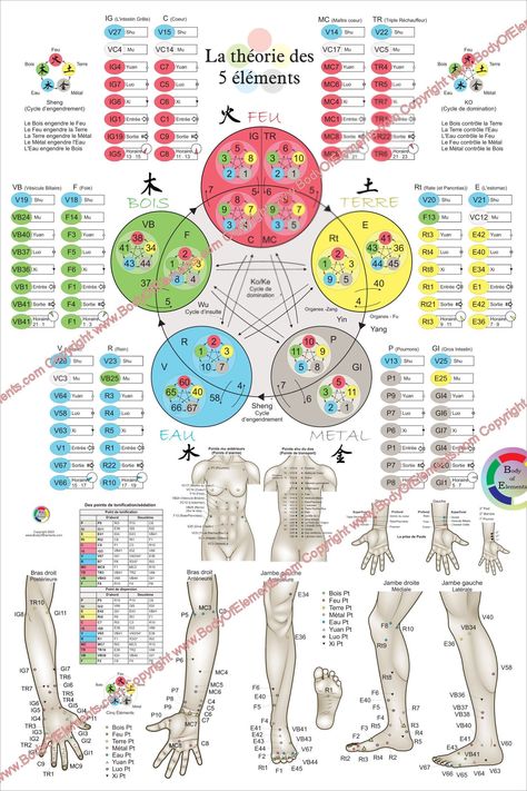 "French Five Elements Acupuncture Points Poster 20\" X 30\" & 24\" X 36\" La théorie des Cinq Éléments et points d'acupuncture - (50.8 cm X 76.2 cm) & (60.96 cm X 91.44 cm) Printed on HP satin finish paper or laminated. The five elements theory of acupuncture poster in French. The wall chart list the element points (Fire, Earth, Metal, Water and Wood) (Bois, Feu, Terre, Métal, Eau). All color coordinated for each of the meridians. The Back Shu, Front Mu, Source, Luo, Xi Cleft, Entry, Exit and Horary points are listed in large type for each meridian. The horary points show the time when the meridian is most active. All of these points are marked on the illustrations of the arms and legs including a table of the tonification and sedation points. The pulse diagnosis point locations. The large Meridian Acupuncture, Acupuncture Points Chart, Polarity Therapy, Meridian Points, Labyrinth Design, Body Wisdom, Point Acupuncture, The Five Elements, Body Map