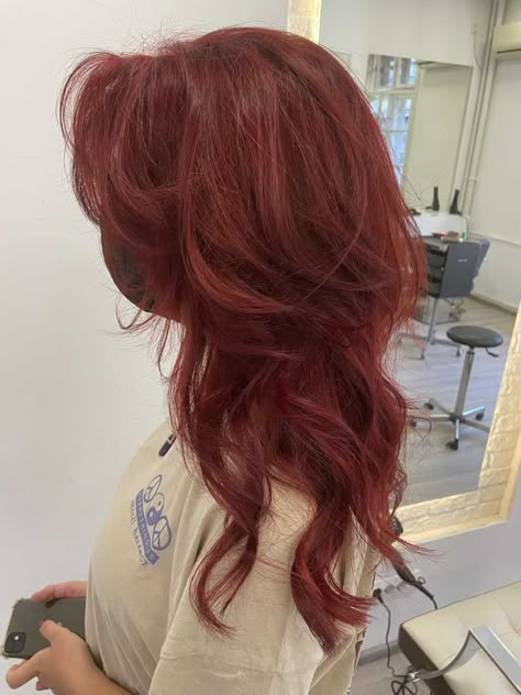 Rust Orange Hair Color, Rusty Red Hair Color, Dark Red Hair Blowout, Shelf Layers Hair, Light Wine Red Hair, Cute Dyed Hair Ideas For Brown Hair, Hair For Pale Skin Hazel Eyes, Haircut For Red Hair, Red Hair On Blonde