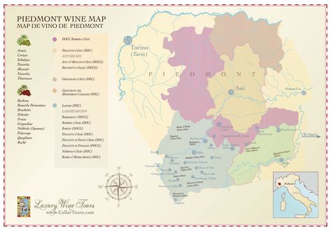 Piedmont Wine Region Map Wine Region Map, Wine Country Travel, Wine Map, Piedmont Italy, Wine Top, Wine Travel, Wine Region, Italian Wine, Fine Wine