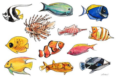 Reef Fish Drawing, Ocean Fish Drawing, Tropical Fish Drawing, Fish Pencil Drawing, Fishes Drawing, Tropical Fish Art, Under The Sea Art, Fish Stickers, Coral Reef Art