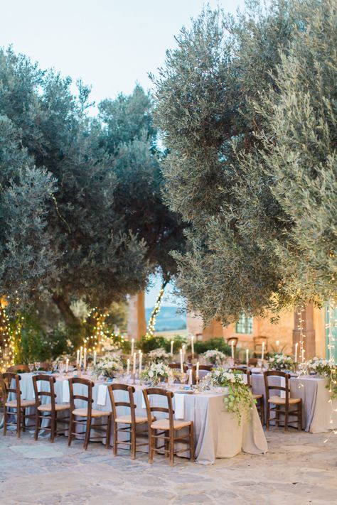 Private rustic greek farm wedding with a chappel, olive grove and vineyard Rustic Greek Wedding, Greek Garden Wedding, Hercules Wedding, Greece Weddings, Anna Roussos, Crete Wedding, Mamma Mia Wedding, Abroad Wedding, Greek Islands Wedding