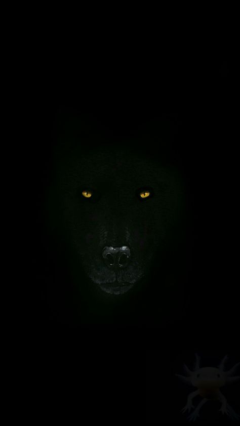 Wolf Wallpaper, Black Wolf, An Animal, In The Dark, A Black, Wallpapers, Iphone, Black