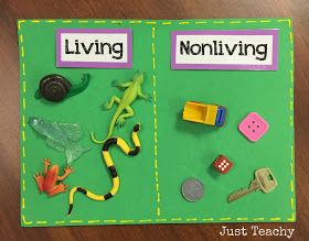 Living Vs Nonliving Kindergarten, Living And Nonliving Kindergarten, Science Corner, Biology Games, Pre-k Science, Kindergarten Stem, Living And Nonliving, Kindergarten Units, Montessori Science