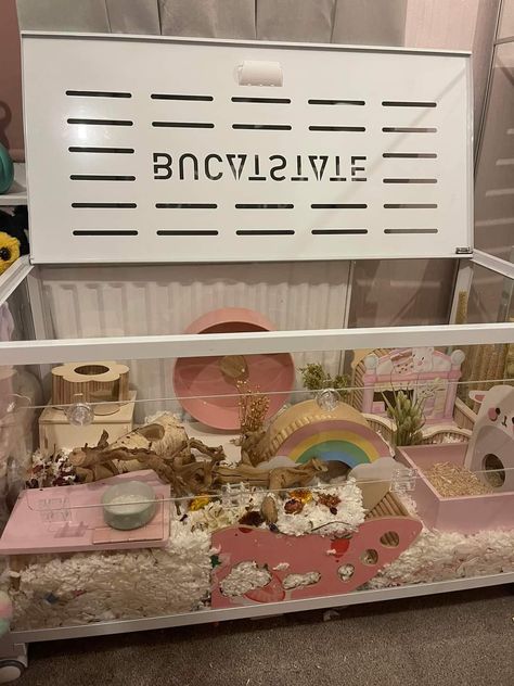 Kawaii Hamster Cage, Pink Hamster Cage Theme, Aesthetic Hamster Cage, Pink Hamster Cage, Hamster Cage Ideas Aesthetic, Cute Hamster Cage, Small Hamster Cage, Hamster House Ideas, Gerbil Habitat