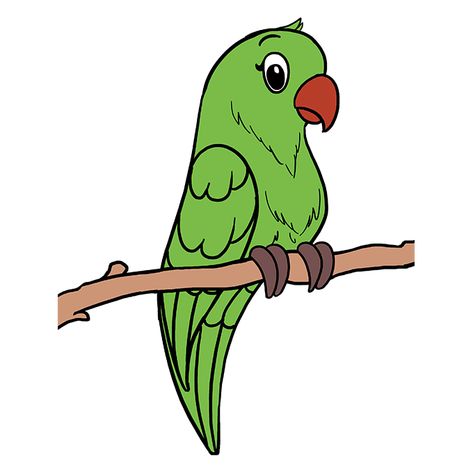 How to Draw Parrot: Step 10 Parotts Bird Drawing, Parrot Drawing For Kids, Draw Parrot, Parrot Printable, Draw A Parrot, Parrot Pictures, Pooh Drawing, Parrot Cartoon, Winnie The Pooh Drawing