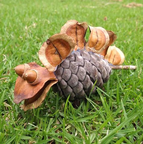 kids-nature-craft-pinecone-dinosaur-stegosaurus Nature Crafts For Kids, Pinecone Owls, Nature Crafts Kids, Twig Christmas Tree, Cool Dinosaurs, Cones Crafts, Pine Cone Crafts, Pumpkin Crafts, Nature Kids