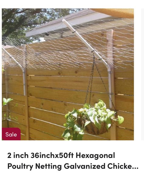 Rabbit Fence, Chicken Wire Fence, Mesh Fence, Metal Fence Panels, Cat Fence, Wire Mesh Fence, Cat Patio, Cat Proofing, Mesh Fencing