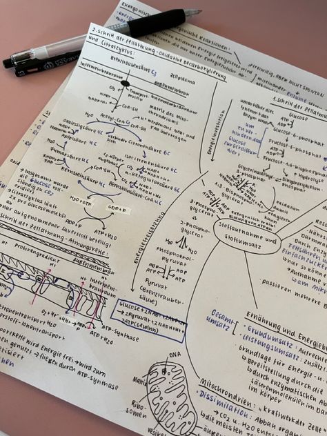 Aesthetic summary sheet Summary Sheet Aesthetic, Marksheet Aesthetic, Summaries Aesthetic, Spreadsheet Aesthetic, Romanticise School, Notes Inspo, School Tips, 2024 Vision, School Hacks