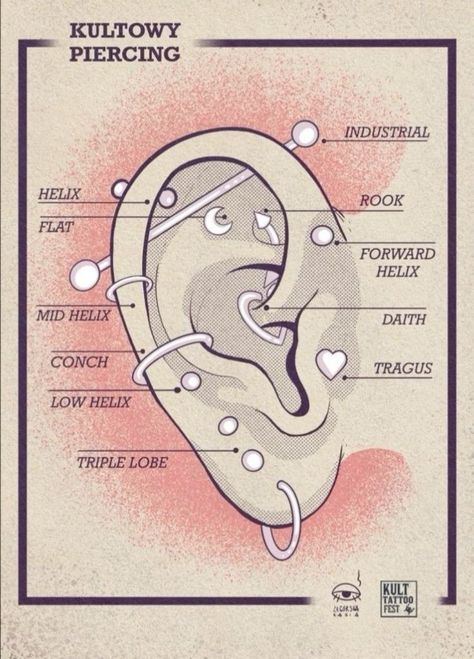 Ear Piercings Chart, Piercing Chart, Types Of Ear Piercings, Fantasy Earrings, Cool Ear Piercings, Pretty Ear Piercings, Face Piercings, Cool Piercings, Cute Piercings