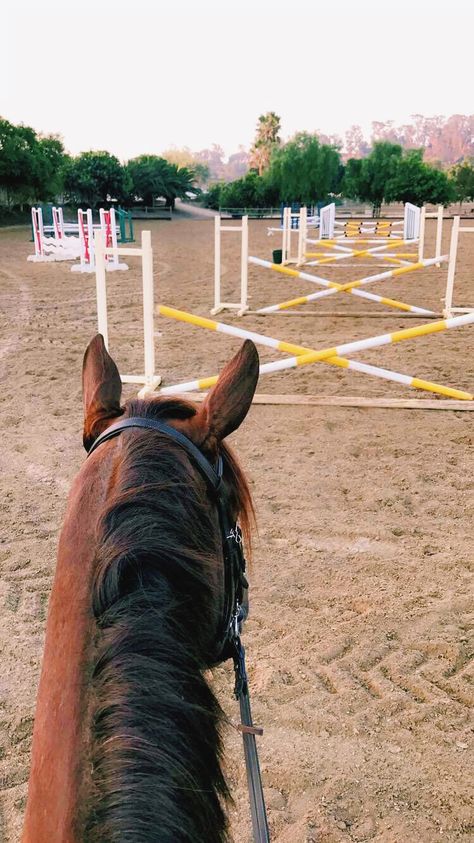 i'll just jump over these stupid fences then  to entertain them see that openingat the bottom well i'm out of here Horse Riding Aesthetic, Equestrian Aesthetic, Cute Horse Pictures, Horse Wallpaper, Horse Aesthetic, Horse Blankets, Horse Equestrian, Horse Jumping, Cute Horses