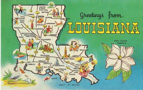 Louisiana History, Louisiana Map, Lake Pontchartrain, Life Insurance Quotes, State Symbols, Pictorial Maps, Life Insurance Companies, Louisiana State, State Map