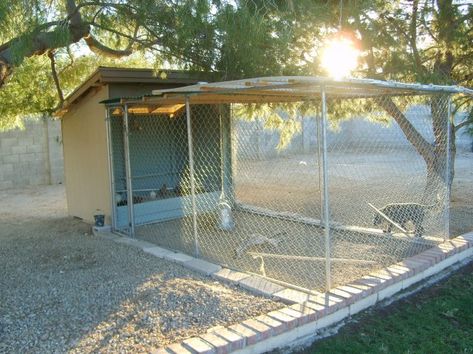 3 Sided Chicken Coop, Hot Weather Chicken Coop, Arizona Chicken Coop, Chicken Board, Coop Decor, Chicken Shack, Portable Chicken Coop, Desert Climate, Coop Ideas