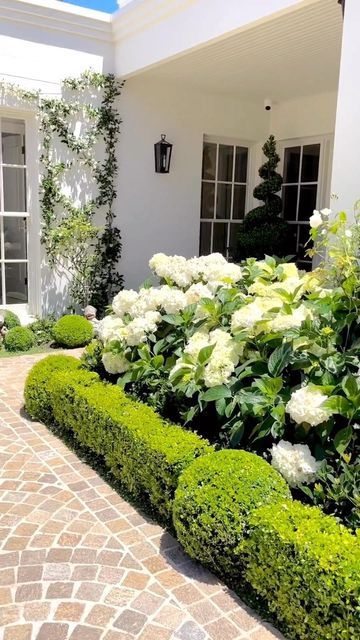 American Garden Style, Exterior Plants, Front Yard Design Ideas, Garden Home Ideas, Yard Design Ideas, Yard Landscape Ideas, Garden Front Yard, Curb Appeal Garden, Garden Front Of House