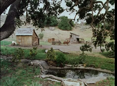 Ahhhh......Little house on the prairie Prairie Aesthetic, House With Land, Prairie School, Pioneer Life, Prairie House, Family World, Walnut Grove, Little House On The Prairie, Divine Mother